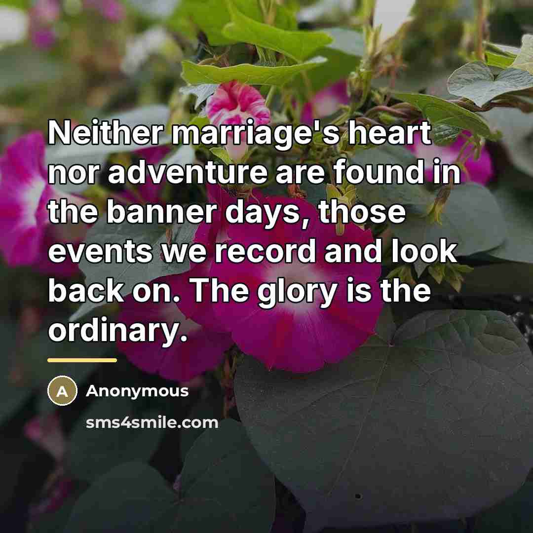 “Neither marriage's heart nor adventure are found in the banner…” quote by Anonymous
