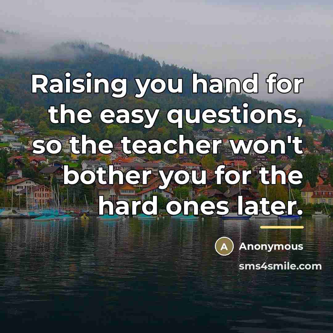 “Raising you hand for the easy questions, so the teacher…” quote by Anonymous