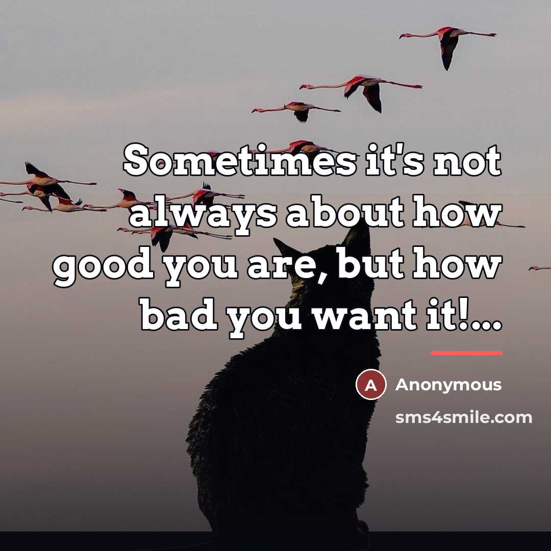 “Sometimes it's not always about how good you are, but…” quote by Anonymous