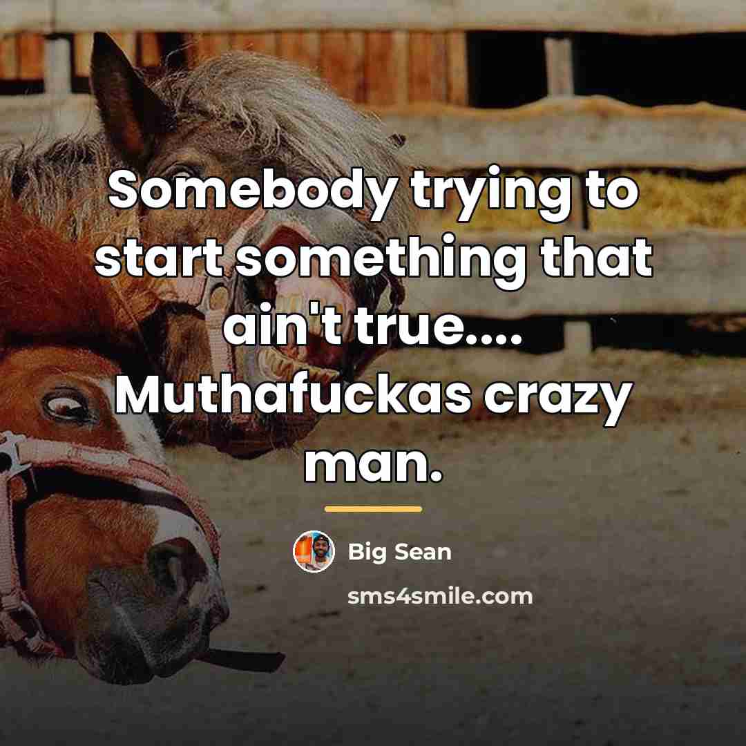 “Somebody trying to start something that ain't true.... Muthafuckas crazy…” quote by Big Sean