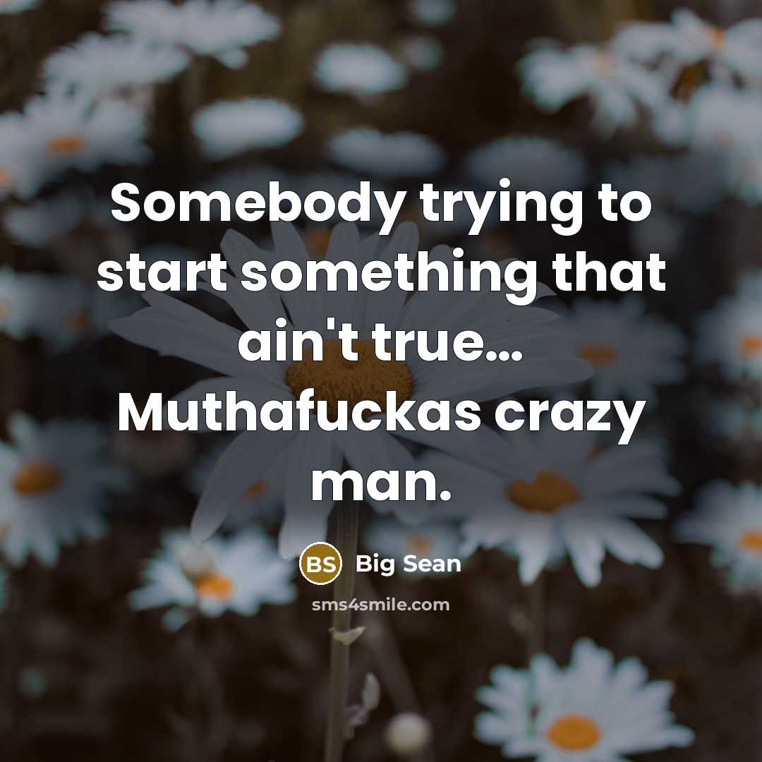 “Somebody trying to start something that ain't true… Muthafuckas crazy man.” quote by Big Sean