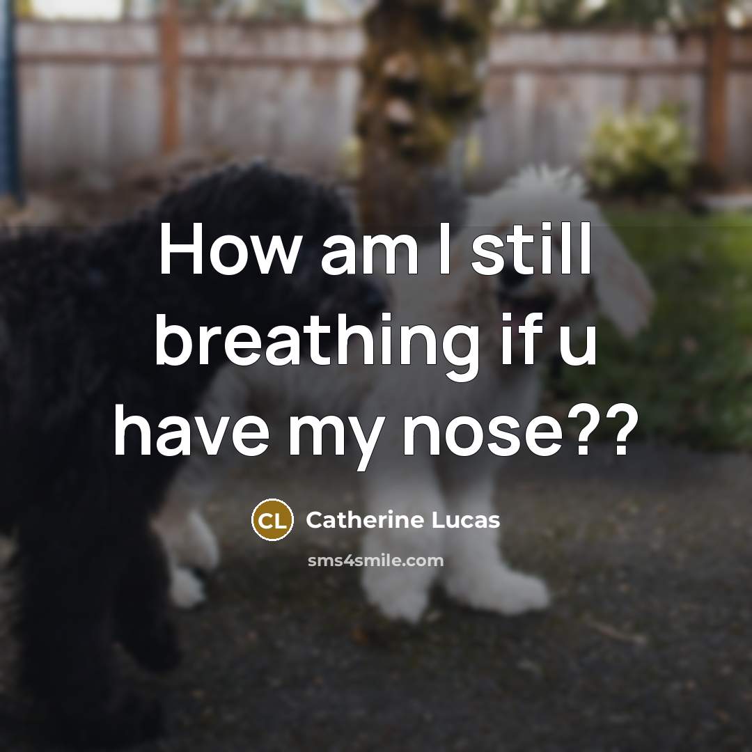 “How am I still breathing if u have my nose??…” quote by Catherine Lucas