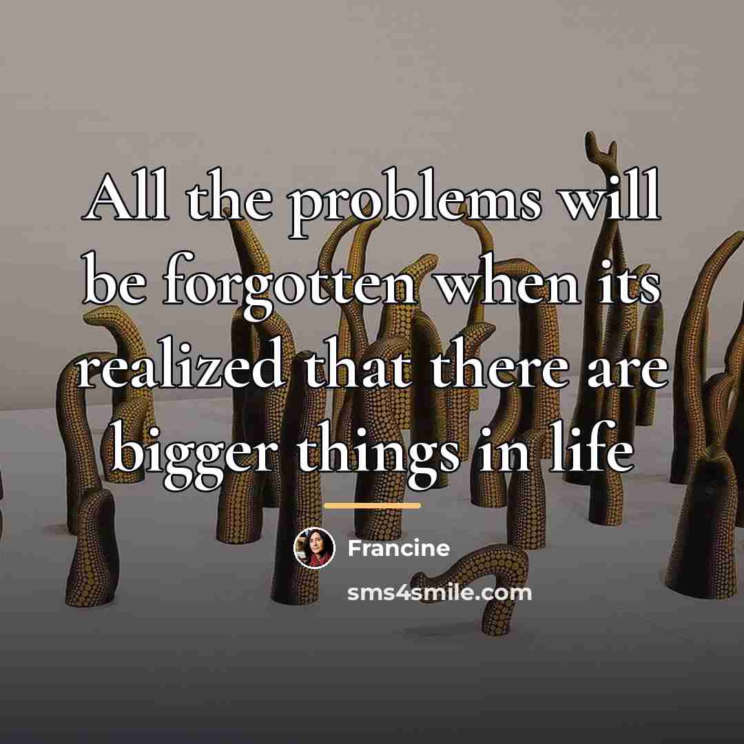“All the problems will be forgotten when its realized that…” quote by Francine