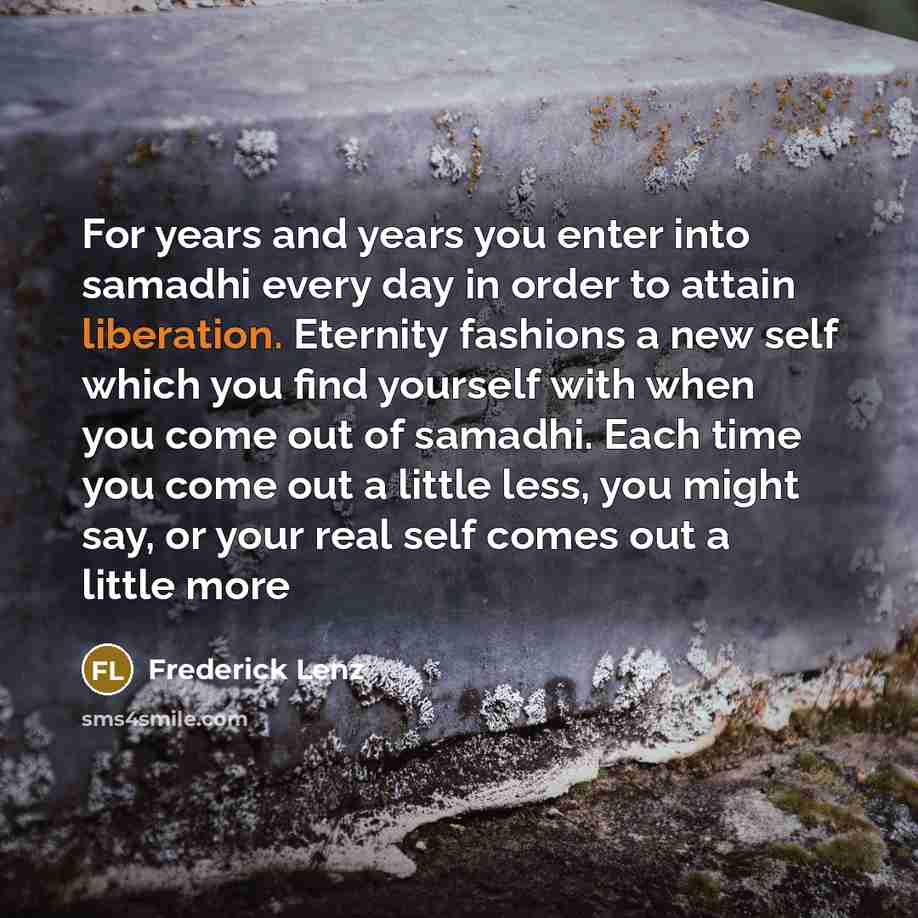 “For years and years you enter into samadhi every day…” quote by Frederick Lenz