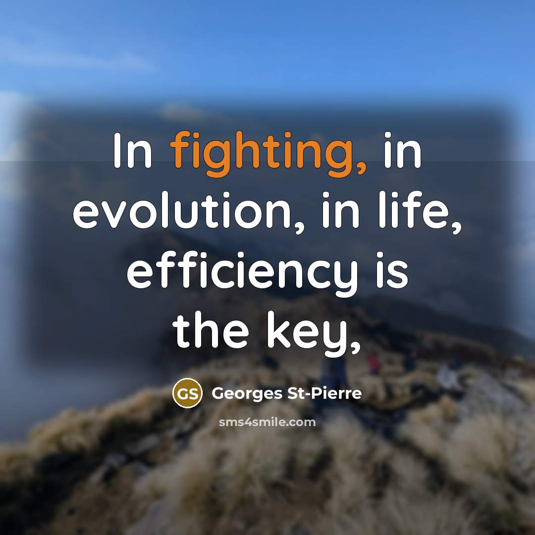 “In fighting, in evolution, in life, efficiency is the key,…” quote by Georges St-Pierre