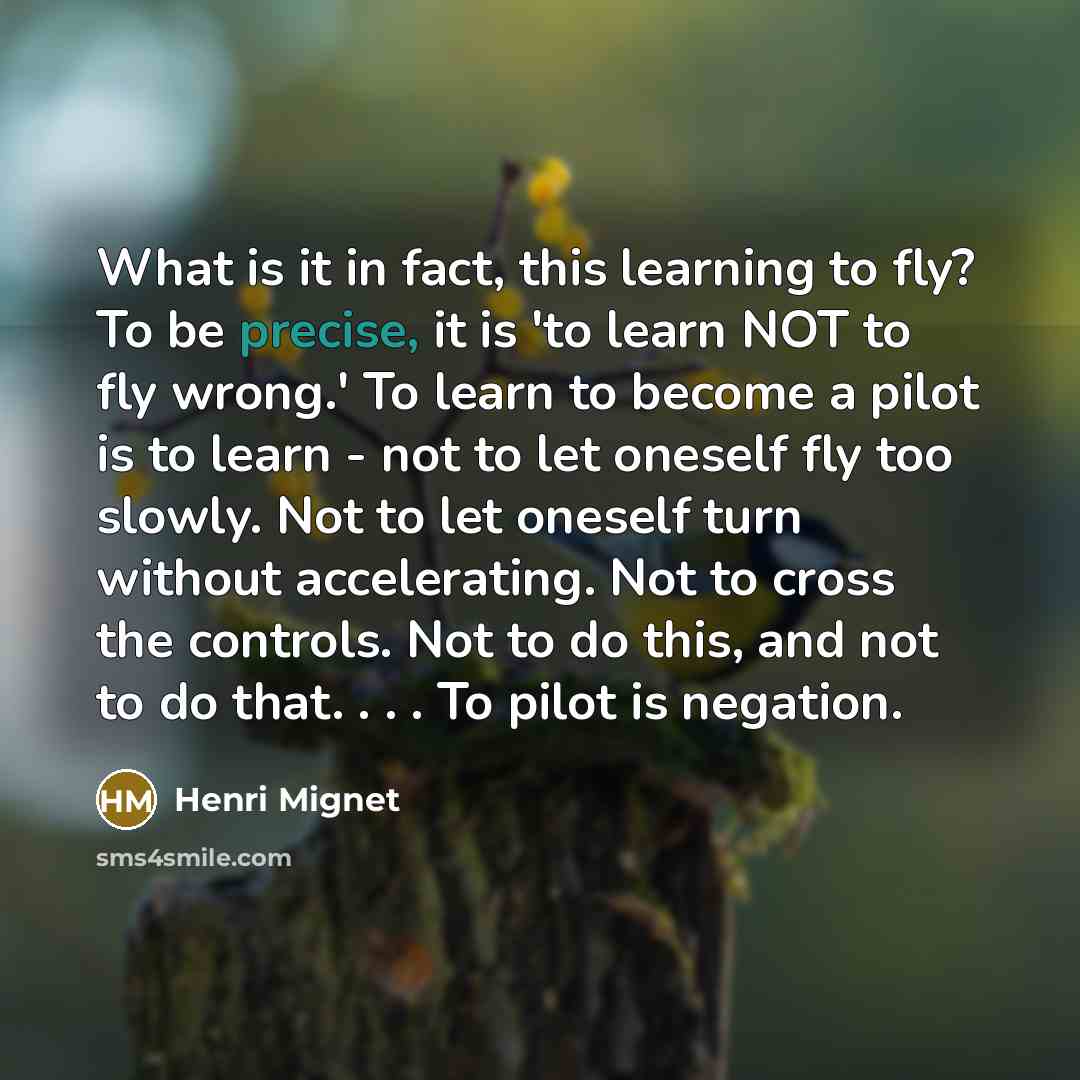 “What is it in fact, this learning to fly? To…” quote by Henri Mignet