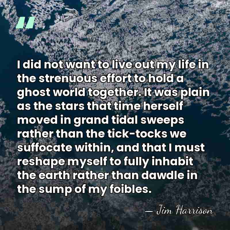I did not want to live out my life in the strenuous&hellip; - Jim Harrison