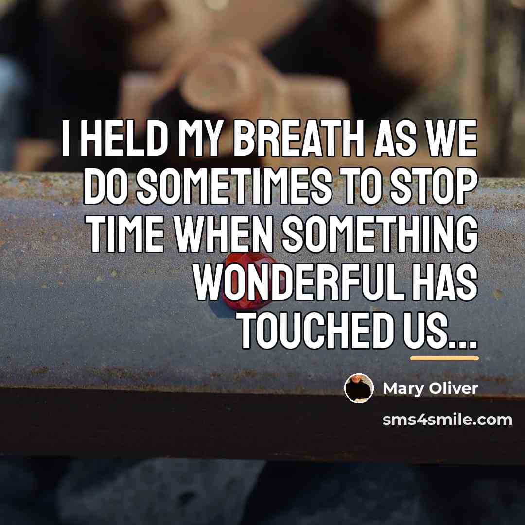 “I held my breath as we do sometimes to stop…” quote by Mary Oliver