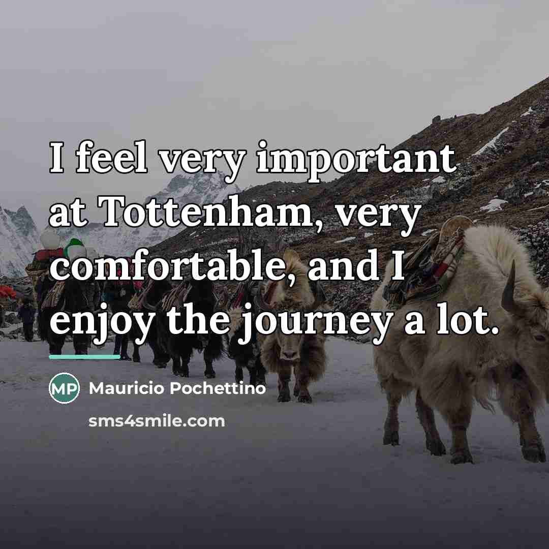“I feel very important at Tottenham, very comfortable, and I…” quote by Mauricio Pochettino