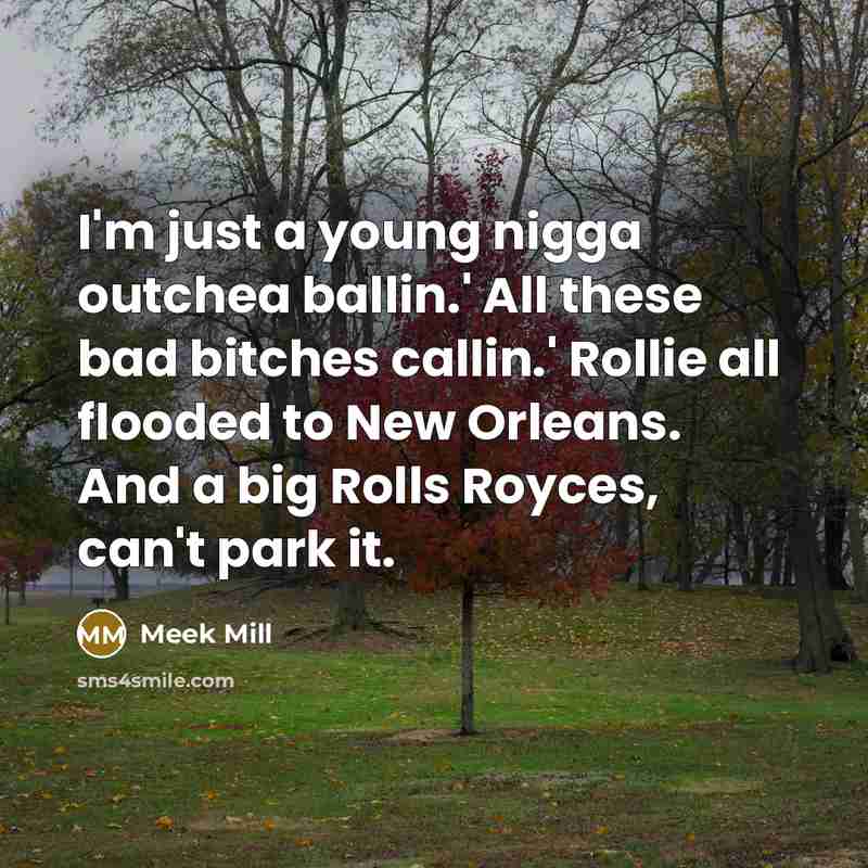 “I'm just a young nigga outchea ballin.' All these bad…” quote by Meek Mill