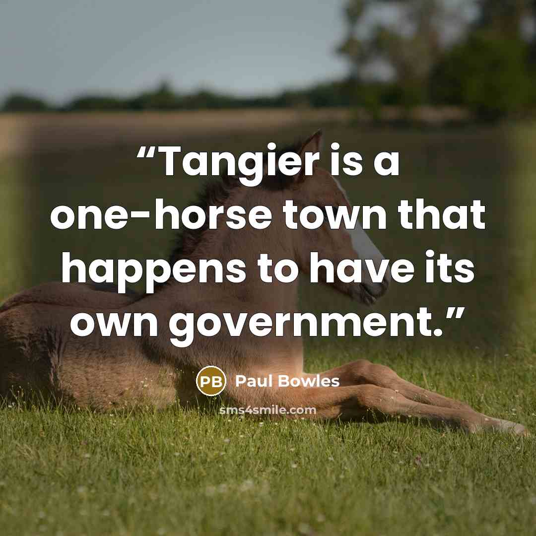 “Tangier is a one-horse town that happens to have its own government.” quote by Paul Bowles