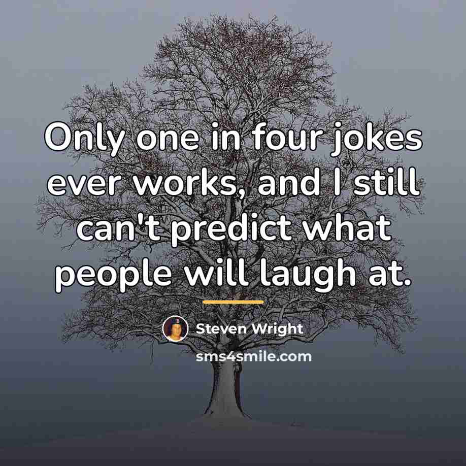 “Only one in four jokes ever works, and I still…” quote by Steven Wright