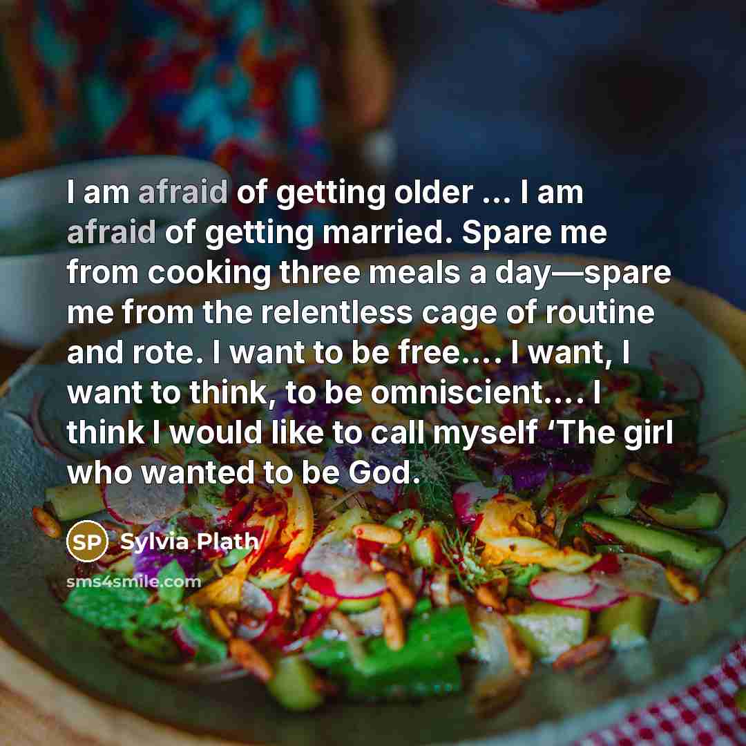 “I am afraid of getting older … I am afraid…” quote by Sylvia Plath