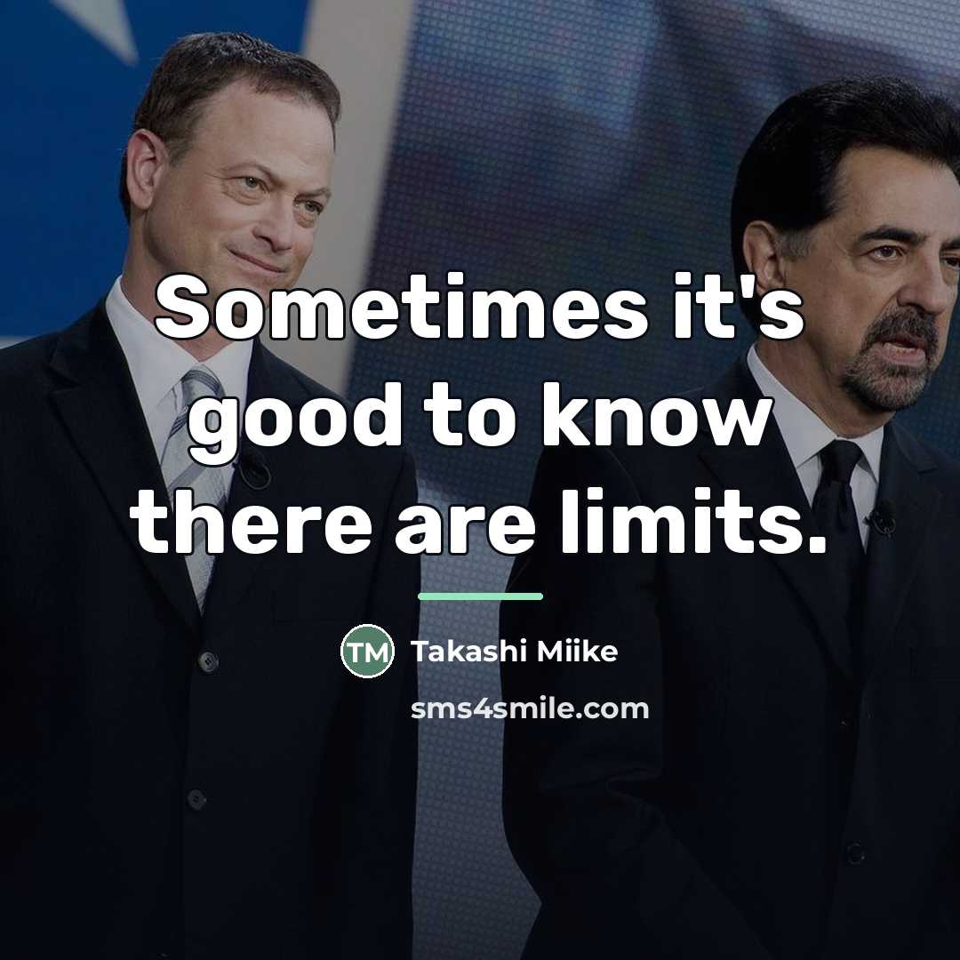 “Sometimes it's good to know there are limits.…” quote by Takashi Miike