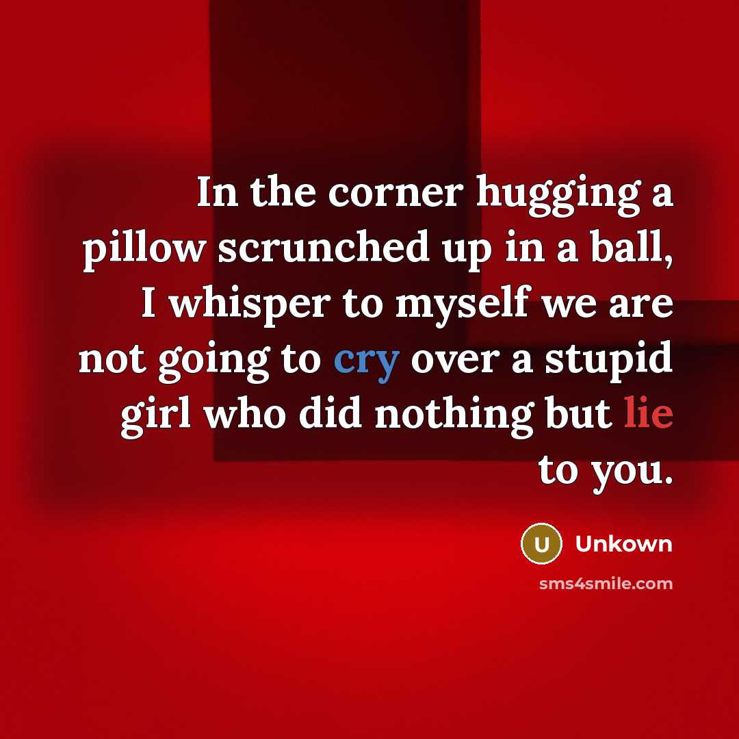 “In the corner hugging a pillow scrunched up in a ball, I whisper to myself we are not going to cry over a stupid girl who did nothing but lie to you.” quote by Unkown