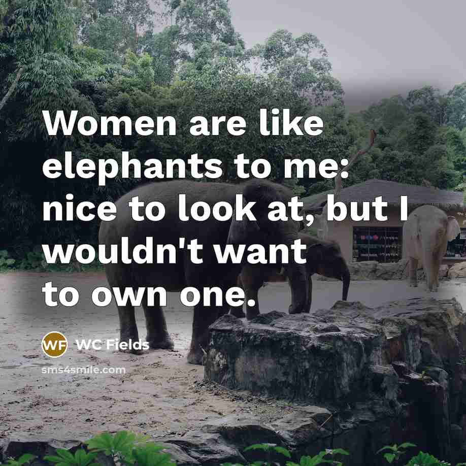 “Women are like elephants to me: nice to look at,…” quote by WC Fields
