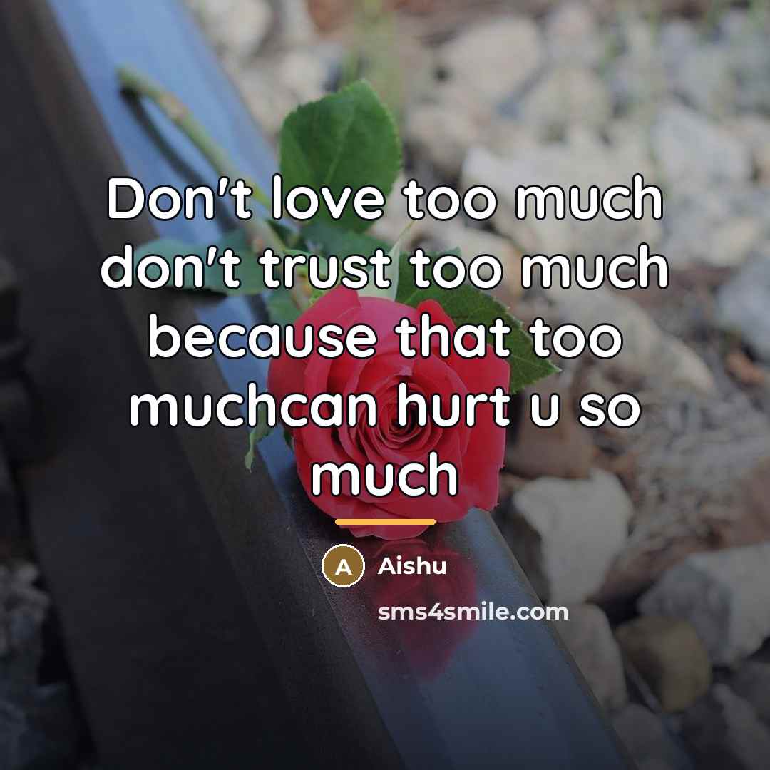 “Don't love too much don't trust too much because that…” quote by Aishu