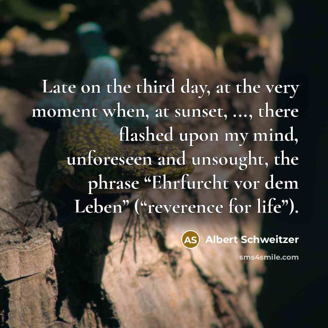 “Late on the third day, at the very moment when,…” quote by Albert Schweitzer