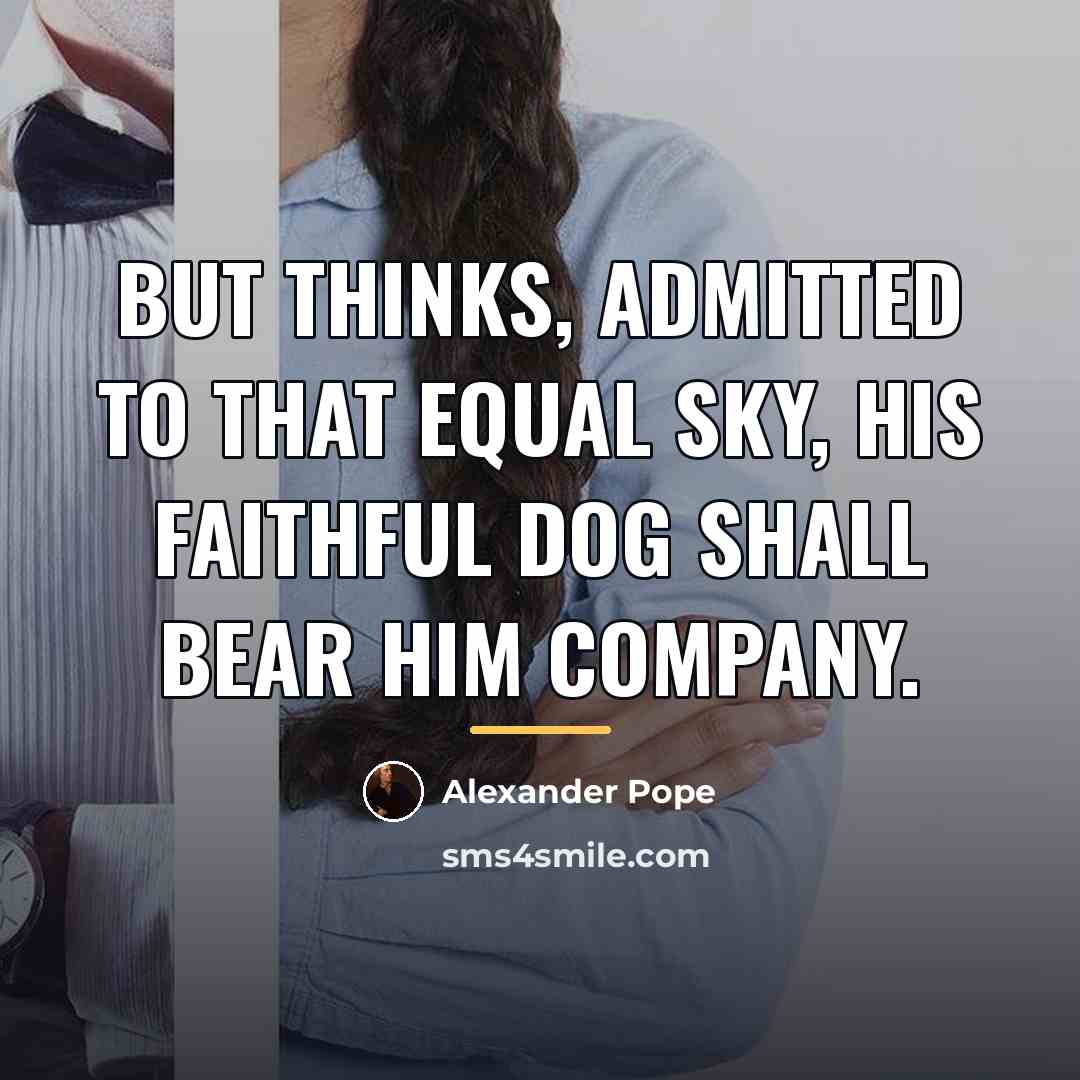 “But thinks, admitted to that equal sky, His faithful dog…” quote by Alexander Pope