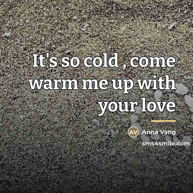 “It's so cold , come warm me up with your…” quote by Anna Vang