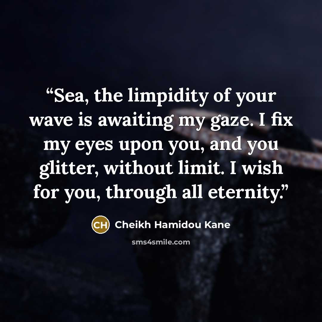 “Sea, the limpidity of your wave is awaiting my gaze. I fix my eyes upon you, and you glitter, without limit. I wish for you, through all eternity.” quote by Cheikh Hamidou Kane