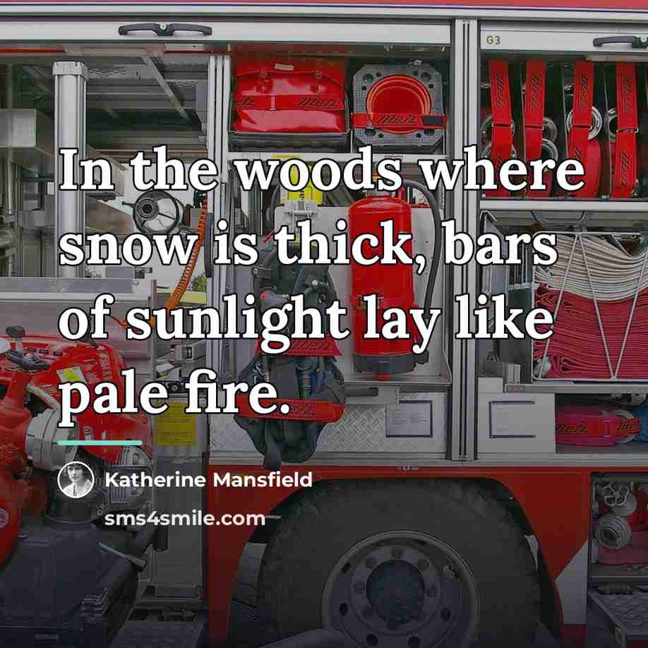 “In the woods where snow is thick, bars of sunlight…” quote by Katherine Mansfield