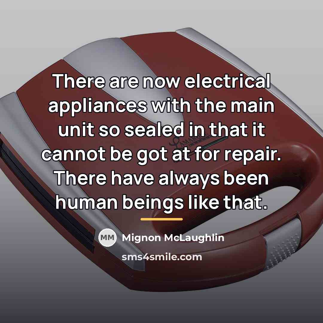 “There are now electrical appliances with the main unit so…” quote by Mignon McLaughlin