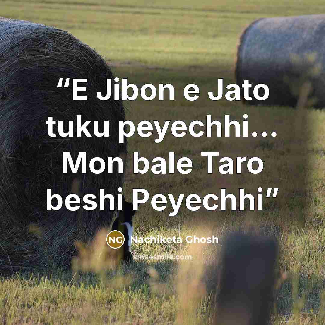 “E Jibon e Jato tuku peyechhi… Mon bale Taro beshi Peyechhi” quote by Nachiketa Ghosh