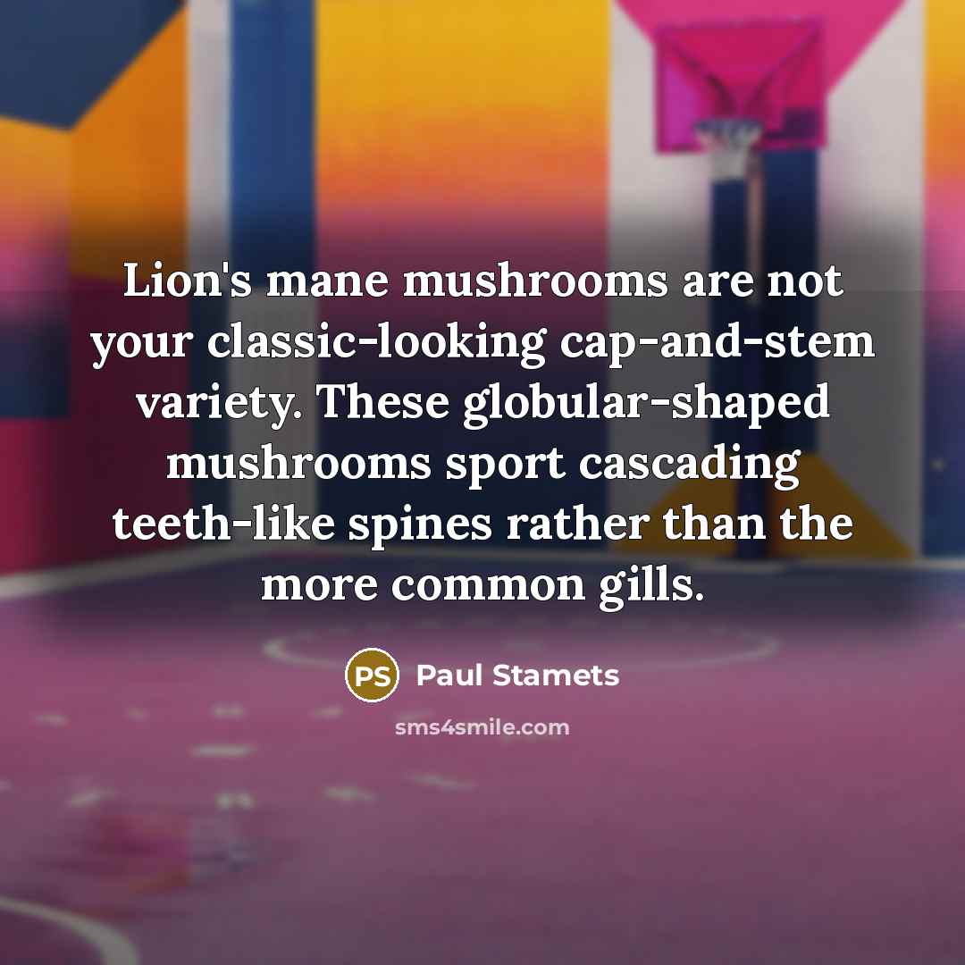 “Lion's mane mushrooms are not your classic-looking cap-and-stem variety. These…” quote by Paul Stamets