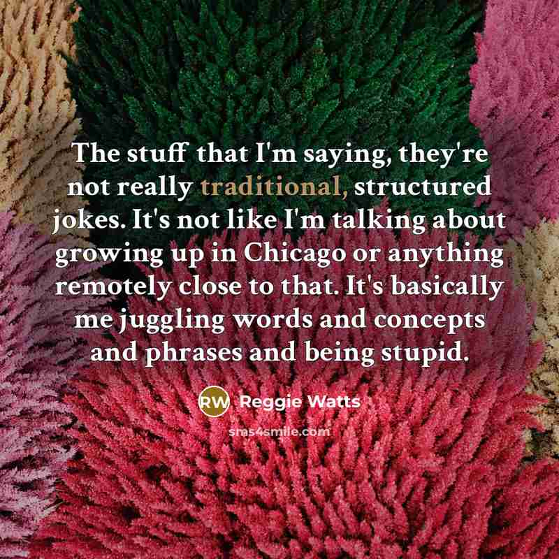 “The stuff that I'm saying, they're not really traditional, structured…” quote by Reggie Watts