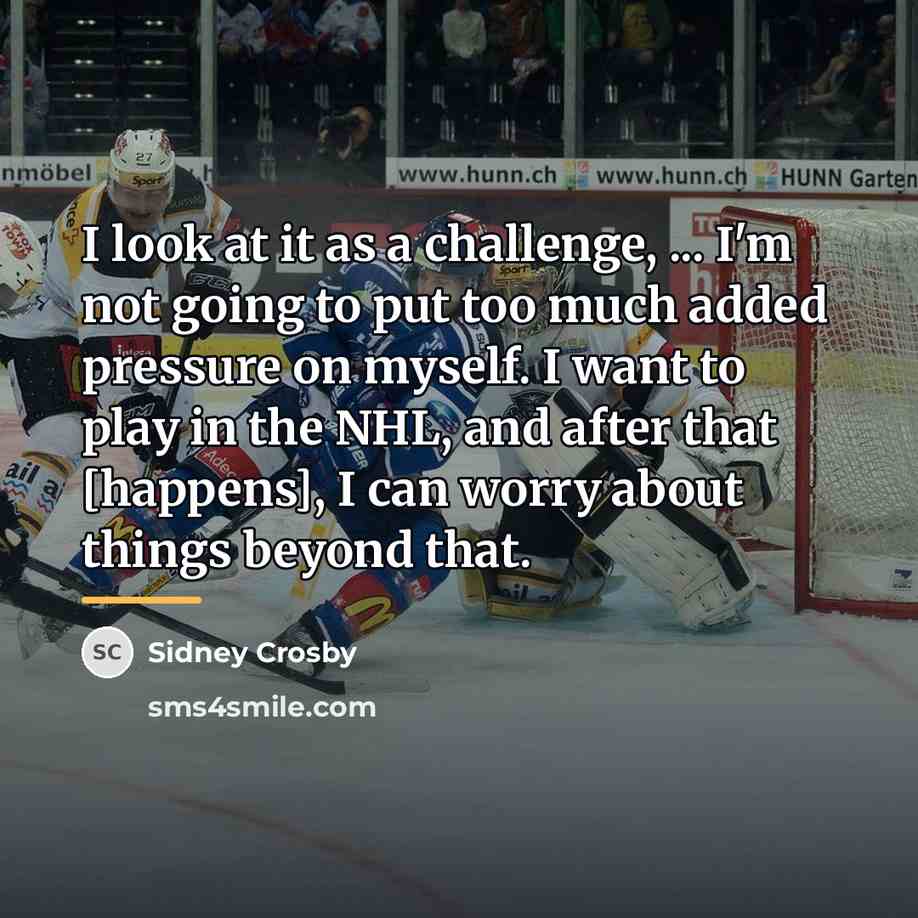 “I look at it as a challenge, ... I'm not…” quote by Sidney Crosby