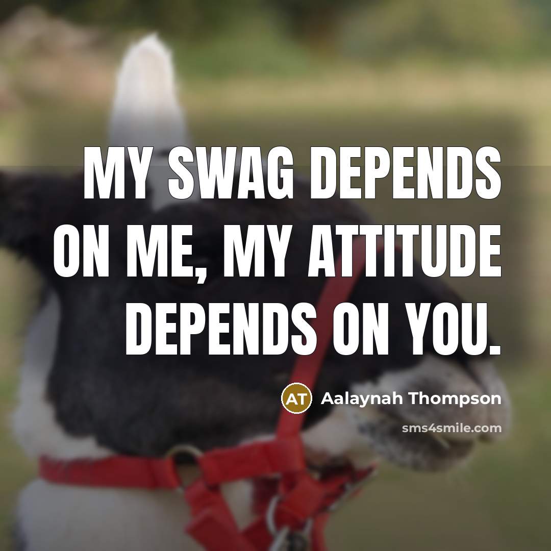 “My Swag depends on me, my Attitude depends on you.…” quote by Aalaynah Thompson