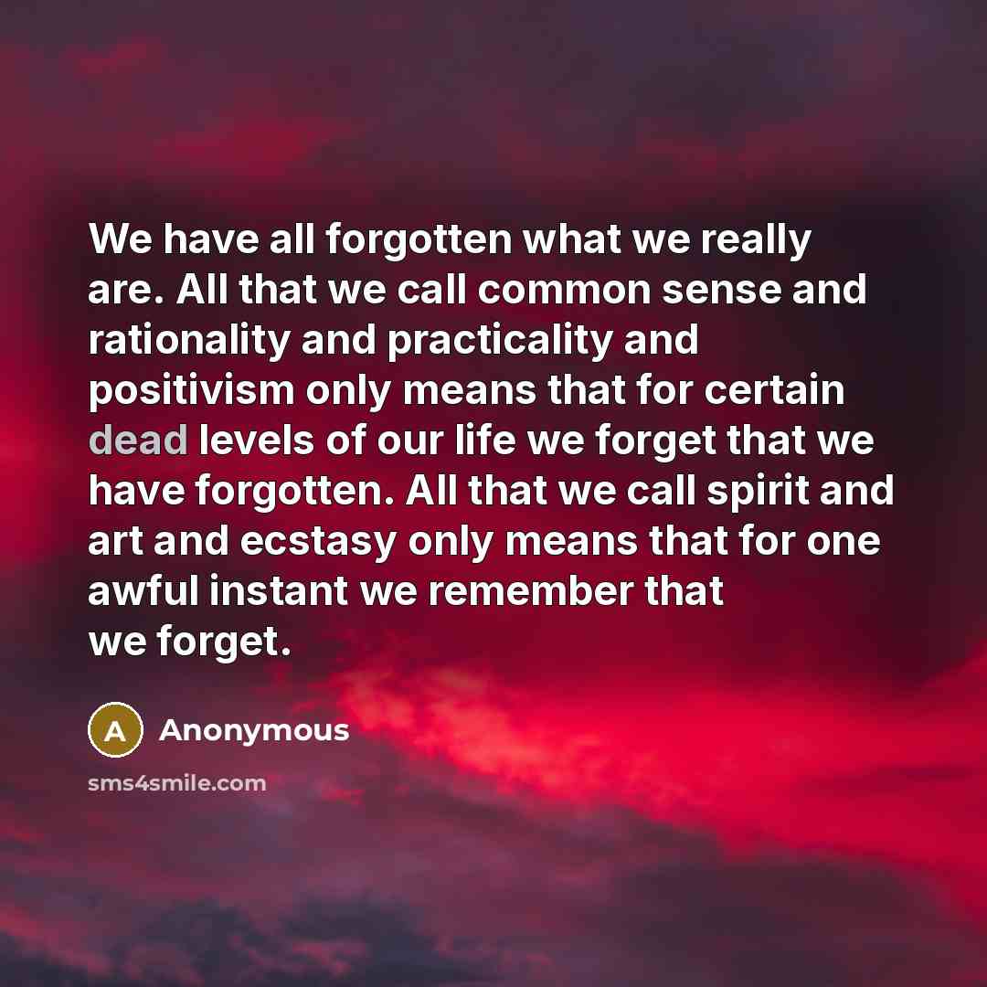 “We have all forgotten what we really are. All that…” quote by Anonymous