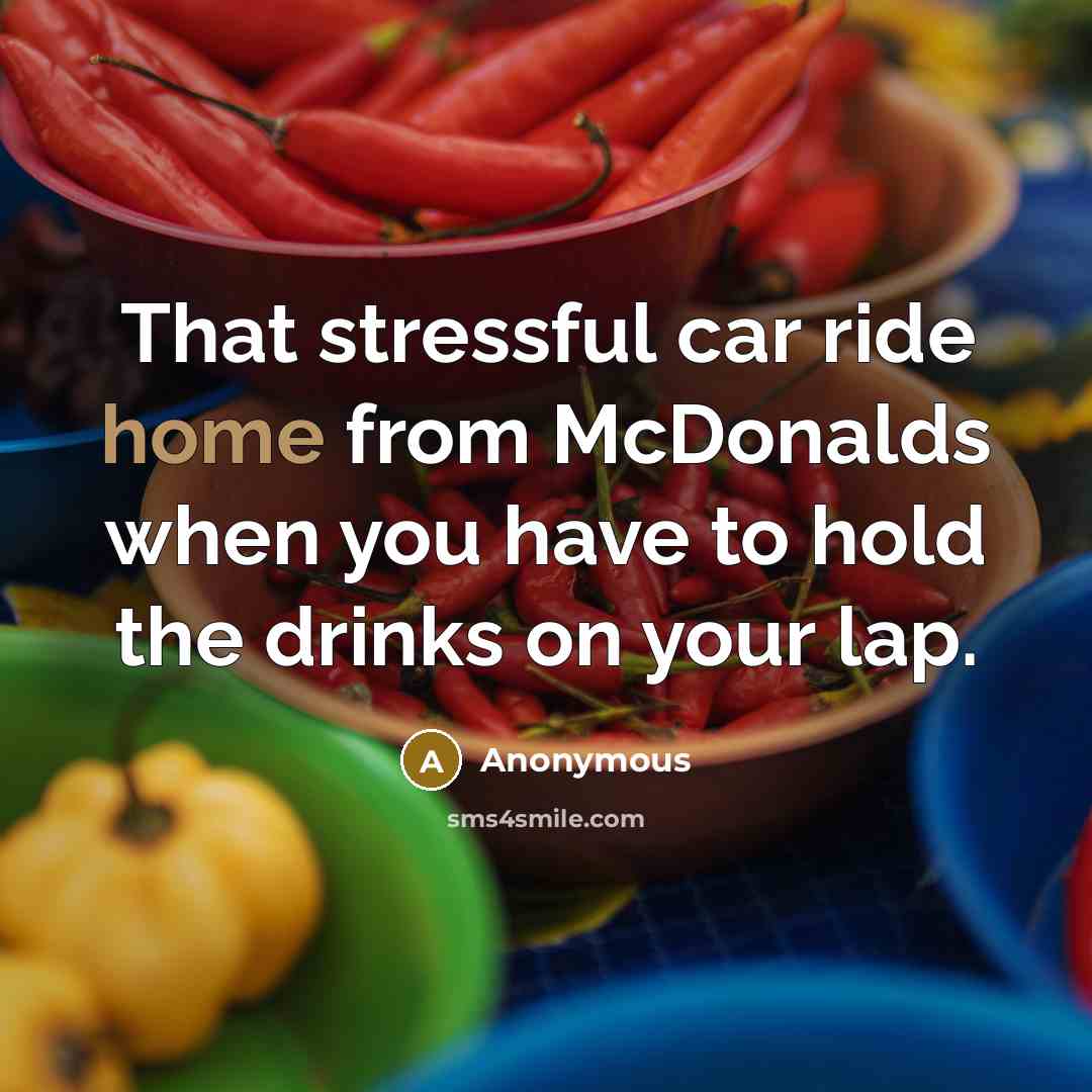 “That stressful car ride home from McDonalds when you have…” quote by Anonymous