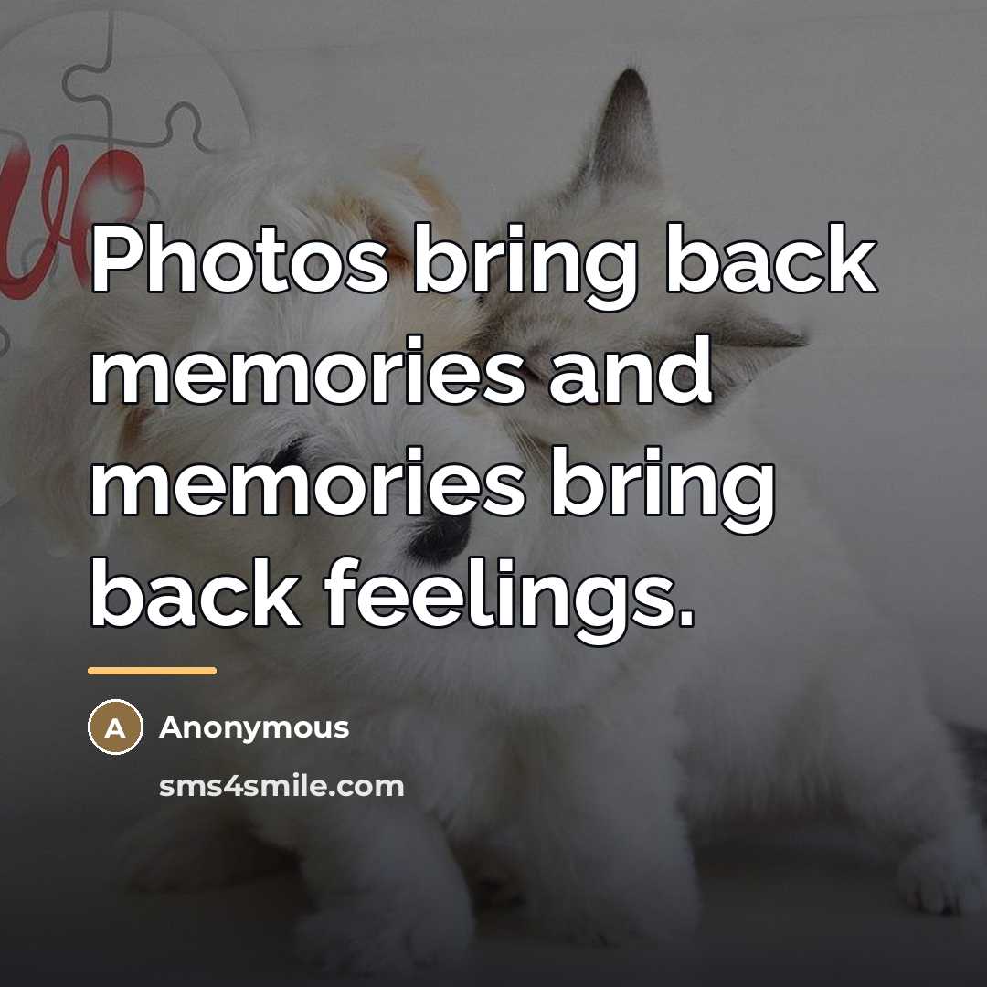 “Photos bring back memories and memories bring back feelings.…” quote by Anonymous