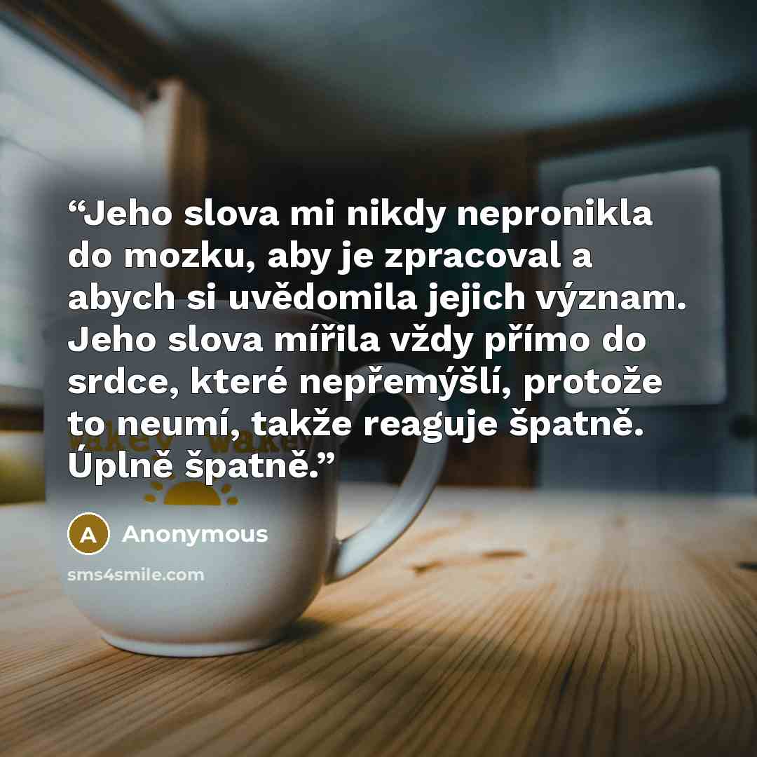 “Jeho slova mi nikdy nepronikla do mozku, aby je zpracoval a abych si uvědomila jejich význam. Jeho slova mířila vždy přímo do srdce, které nepřemýšlí, protože to neumí, takže reaguje špatně. Úplně špatně.” quote by Anonymous