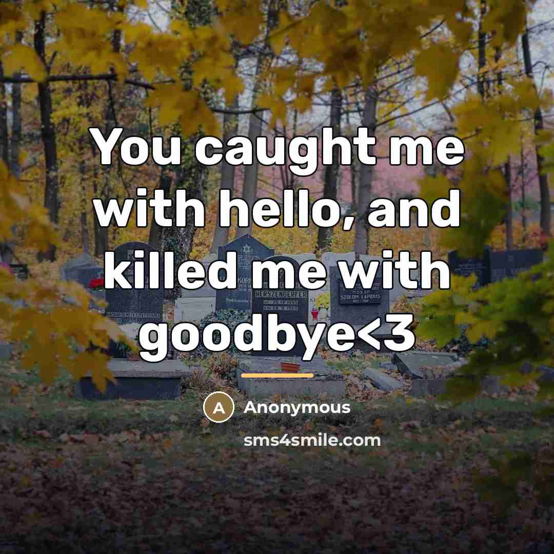 “You caught me with hello, and killed me with goodbye” quote by Anonymous