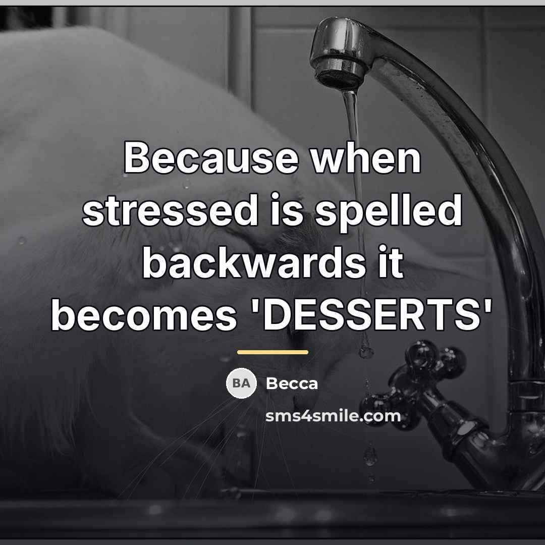 “Because when stressed is spelled backwards it becomes 'DESSERTS'…” quote by Becca