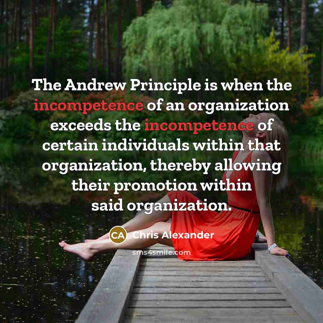 “The Andrew Principle is when the incompetence of an organization…” quote by Chris Alexander