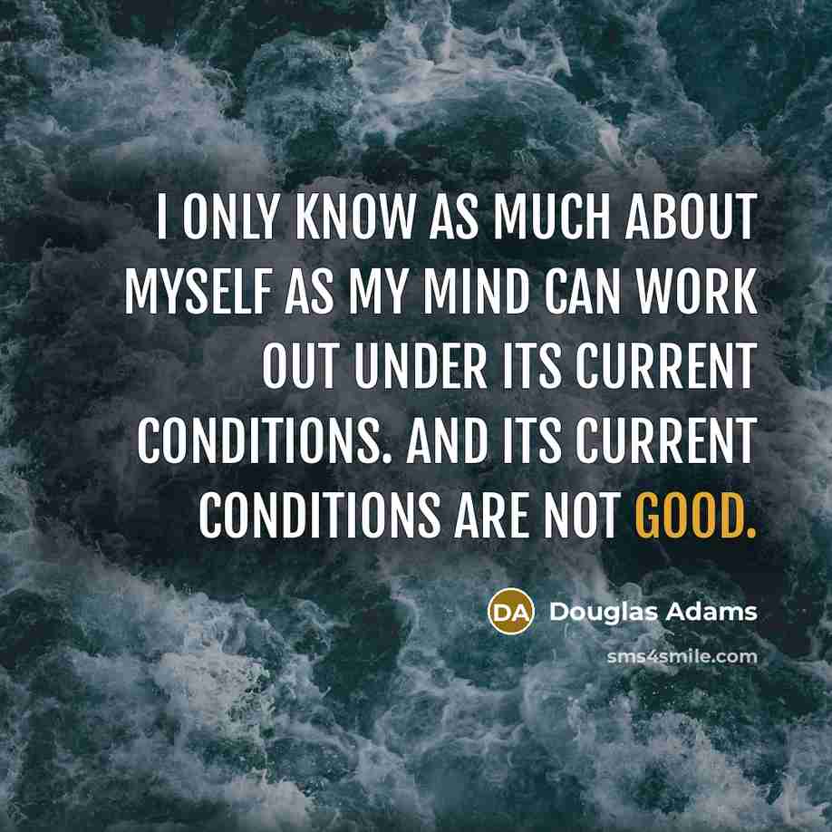 “I only know as much about myself as my mind…” quote by Douglas Adams