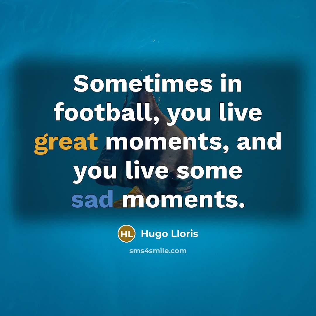 “Sometimes in football, you live great moments, and you live…” quote by Hugo Lloris