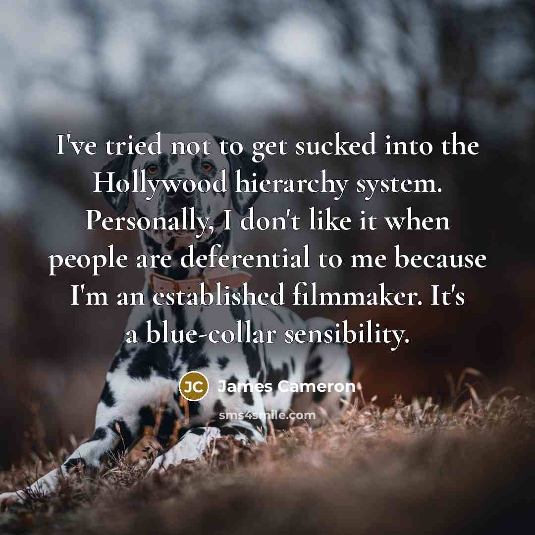 “I've tried not to get sucked into the Hollywood hierarchy…” quote by James Cameron