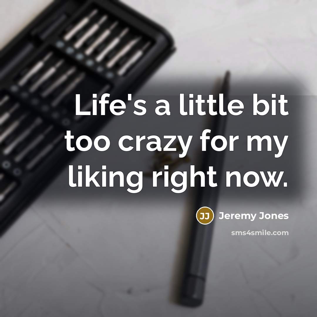 “Life's a little bit too crazy for my liking right…” quote by Jeremy Jones