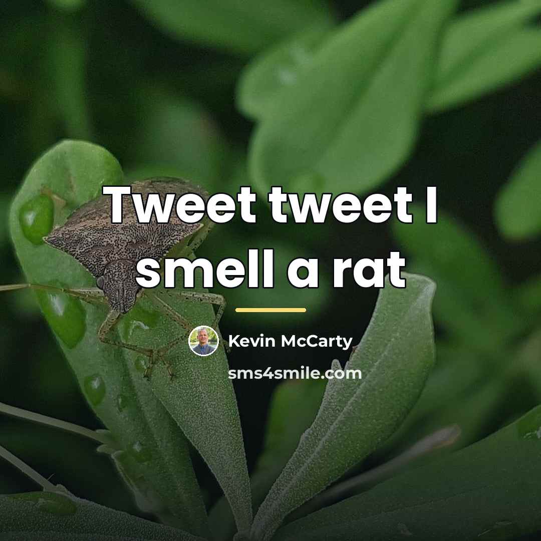 “Tweet tweet I smell a rat…” quote by Kevin McCarty