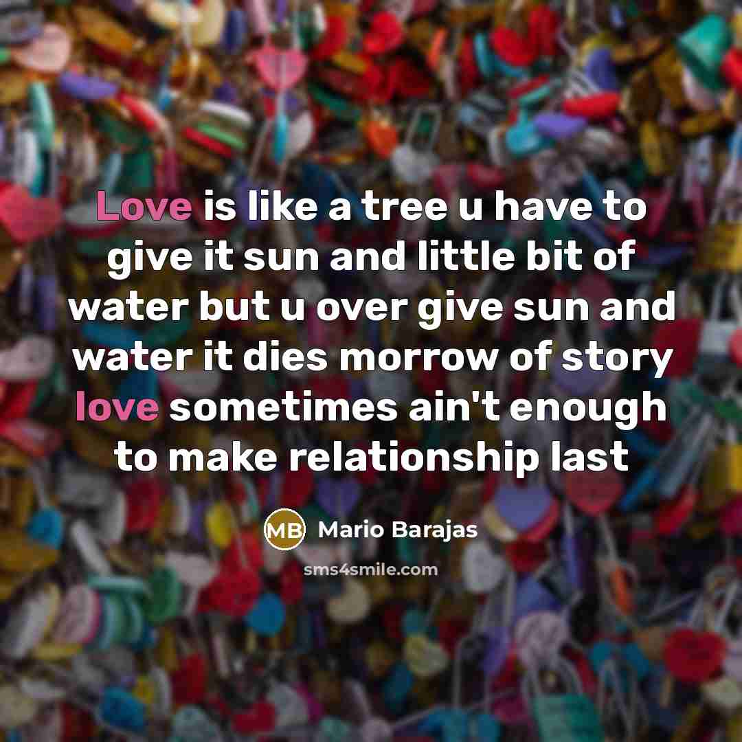 “Love is like a tree u have to give it…” quote by Mario Barajas