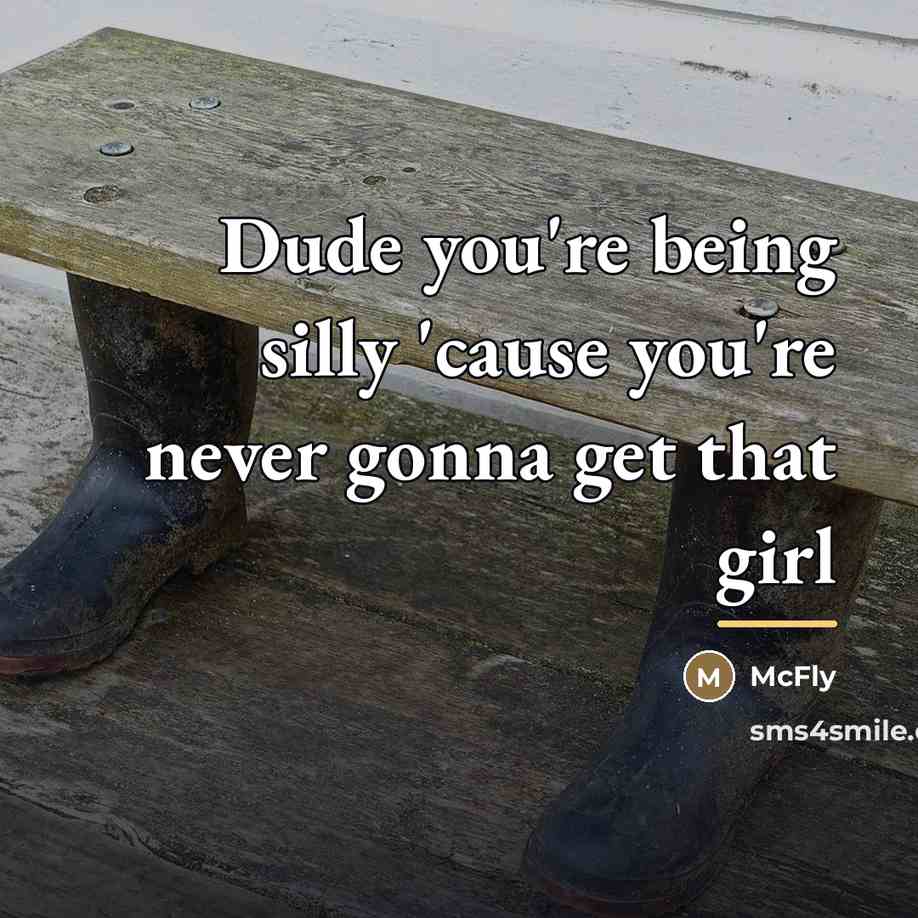“Dude you're being silly 'cause you're never gonna get that…” quote by McFly