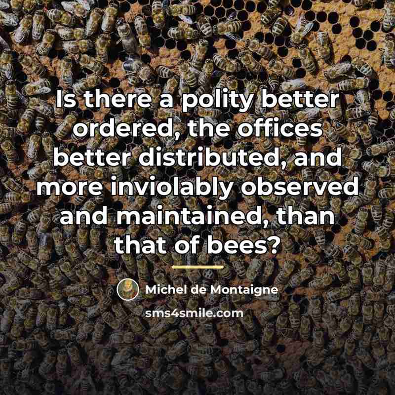 “Is there a polity better ordered, the offices better distributed,…” quote by Michel de Montaigne