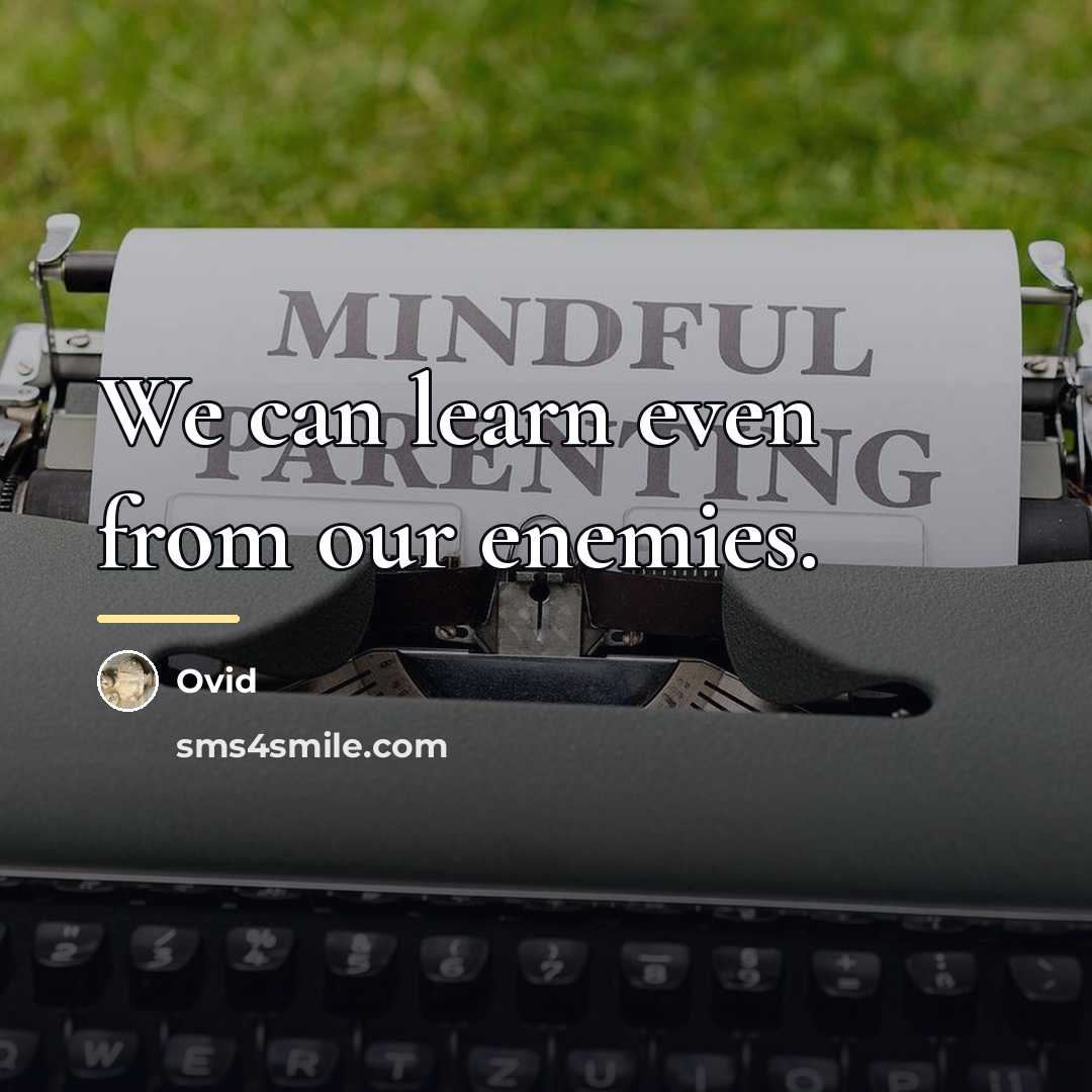“We can learn even from our enemies.…” quote by Ovid