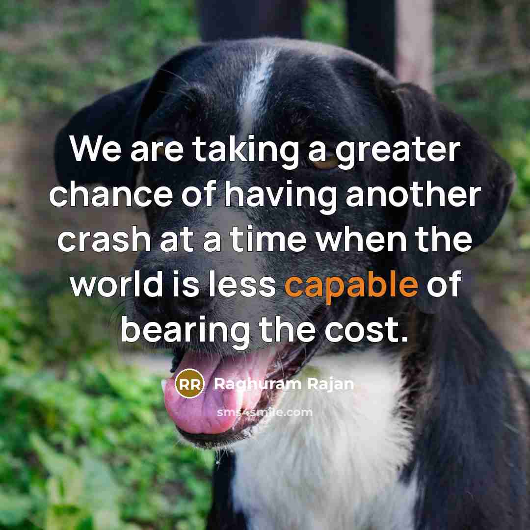 “We are taking a greater chance of having another crash…” quote by Raghuram Rajan