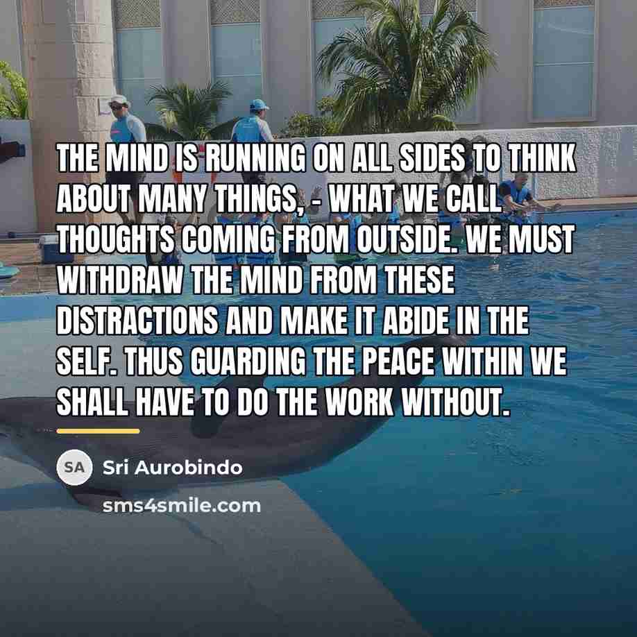 “The mind is running on all sides to think about…” quote by Sri Aurobindo